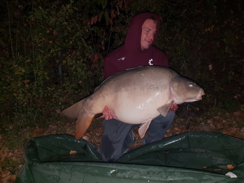 Vincent Norman 52lb