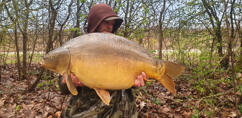 Wayne Harris 37lb 8oz