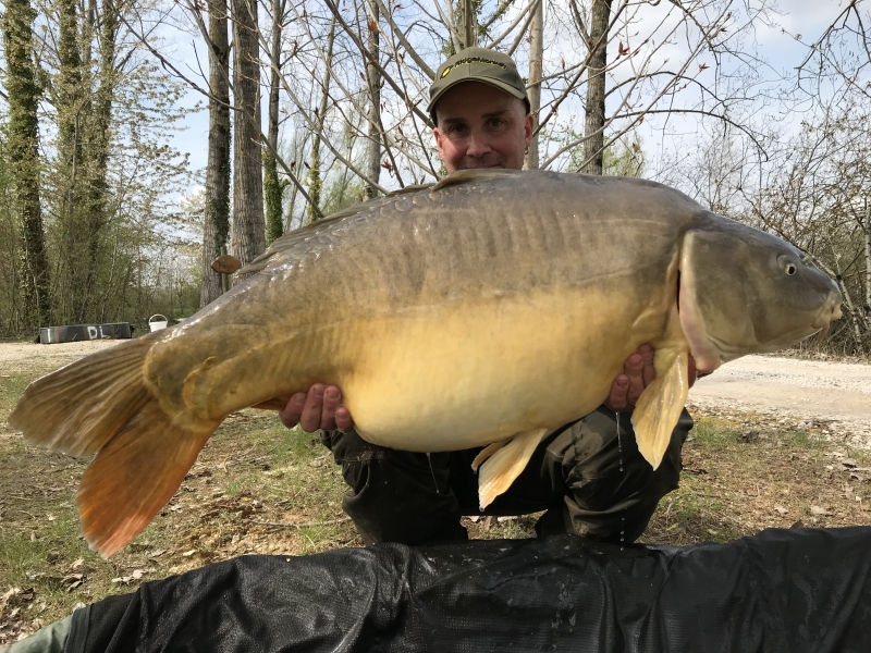 Perry Alabaster 43lb