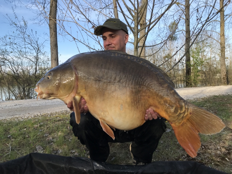 Perry Alabaster 44lb