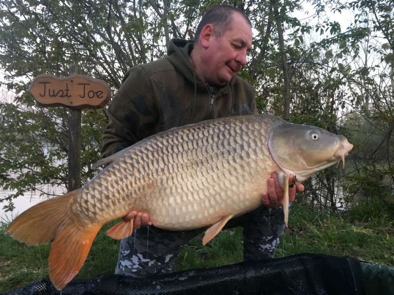 Ian 48lb