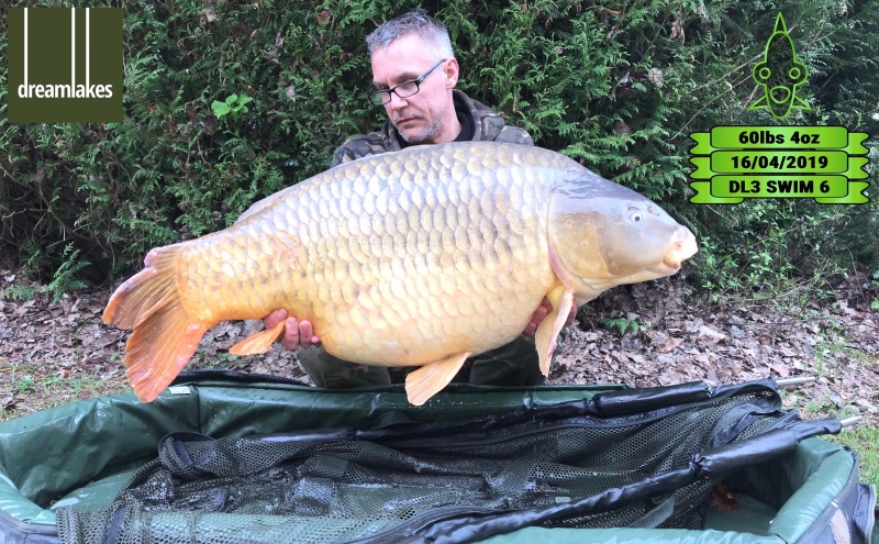 Stuart Barge 60lb 4oz