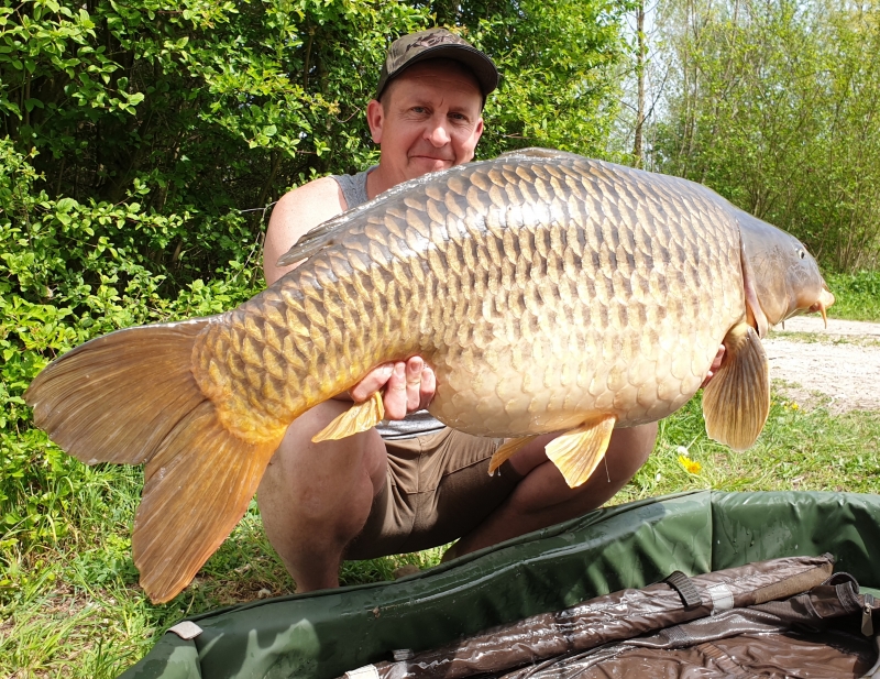 Gibbo 52lb