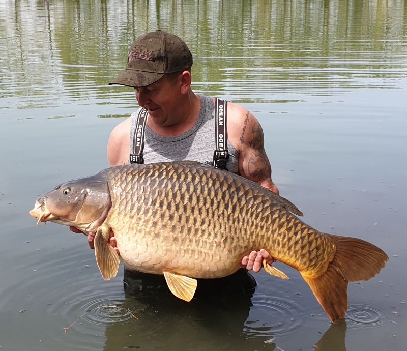 Gibbo 52lb