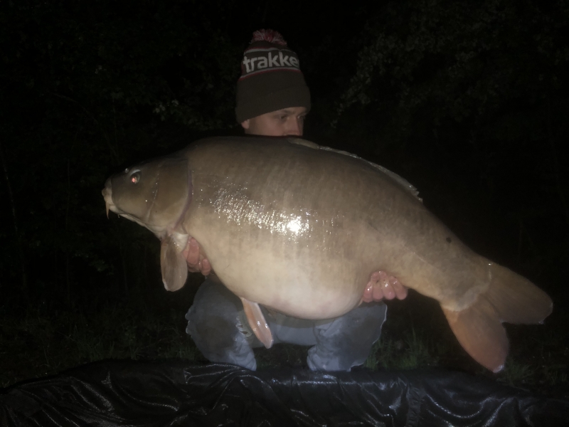 Will 49lb