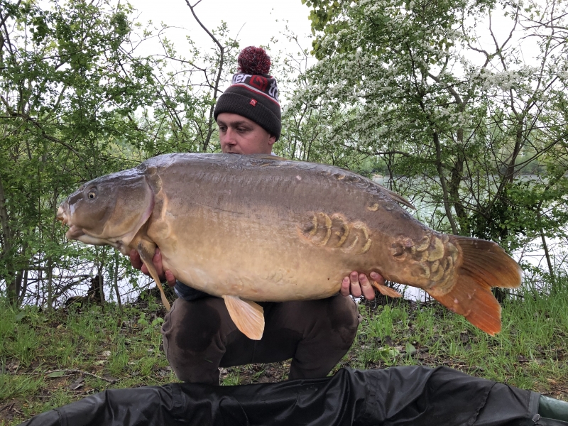 Will 53lb