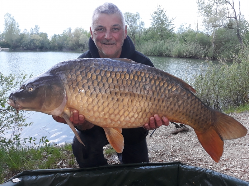 Jarvo 44lb