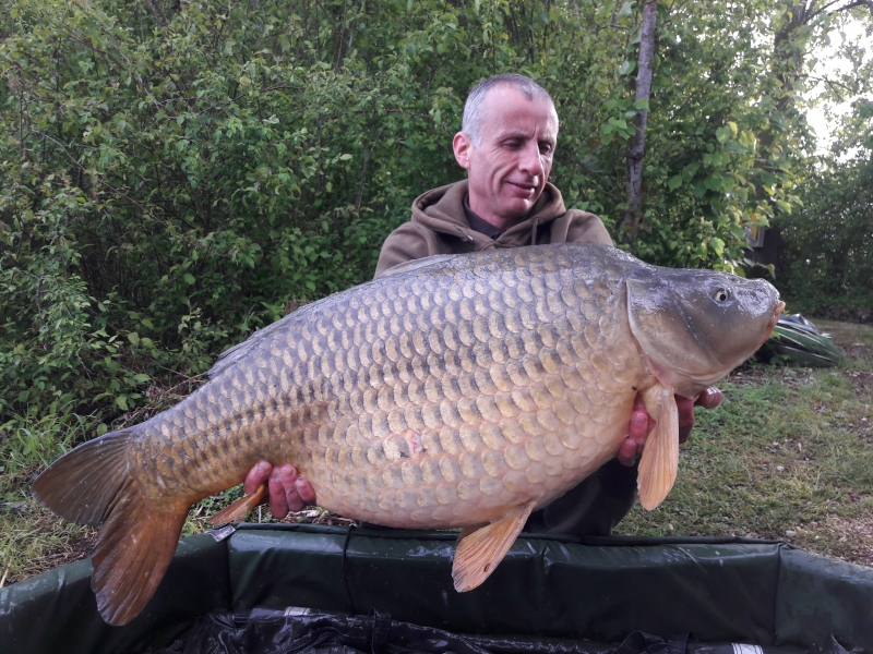 Scott McGregor 47lb