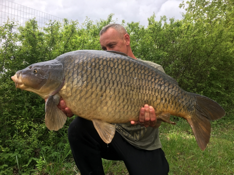 Ade Frankish 43lb