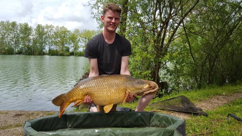 Mark Parkin 50lb