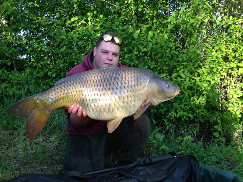 Charlie 31LB