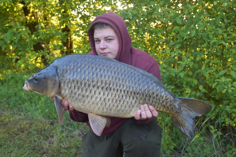 Charlie Little 31lb