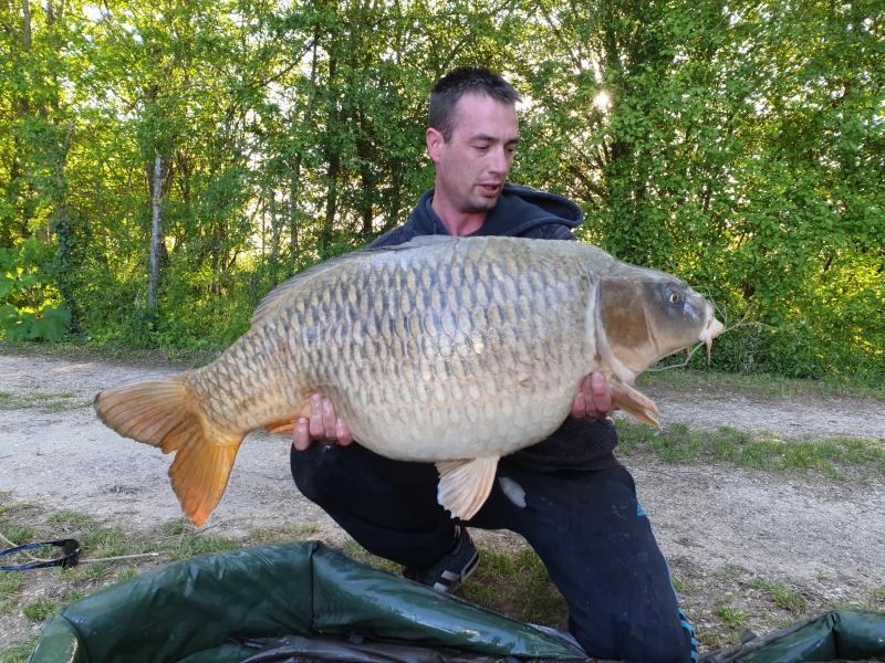 Anthony Cresswell 50lb