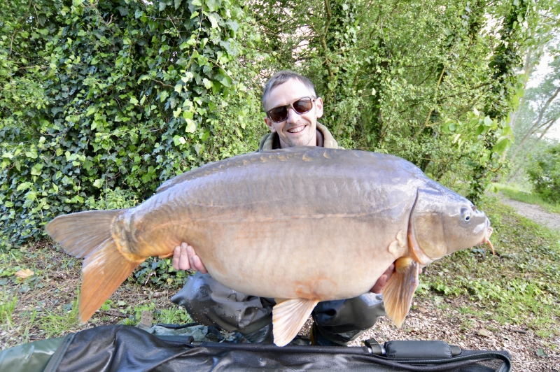 Stewart Hewitt 40lb