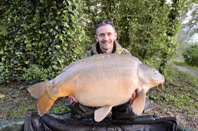 Stewart Hewitt 40lb