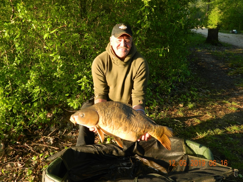 Ron Harvey 31lb