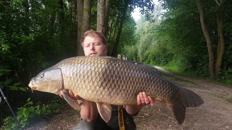 Graham Sines 39lb