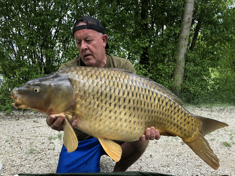 Steve Martin 35lb