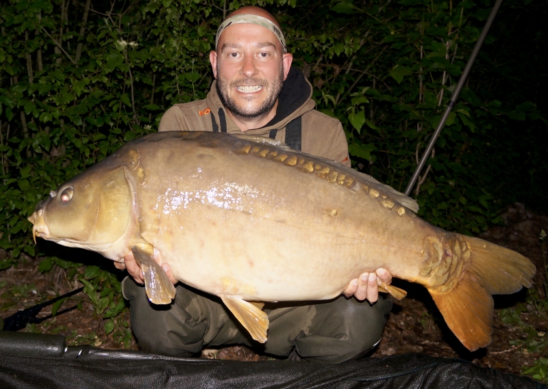 Adam Tree 40lb 15oz