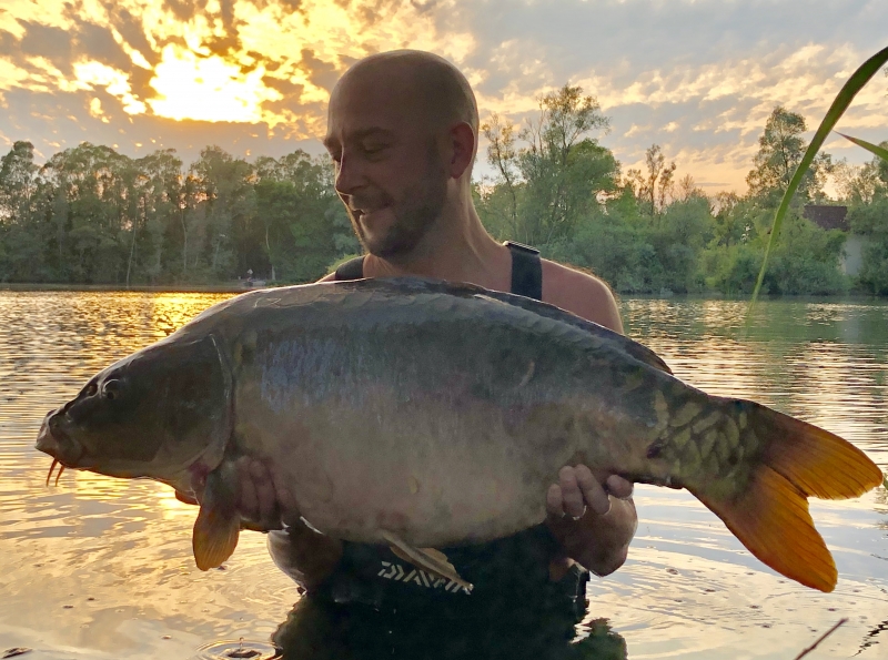 Adam Tree 41lb