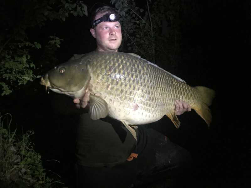 Simon Wells 61lb