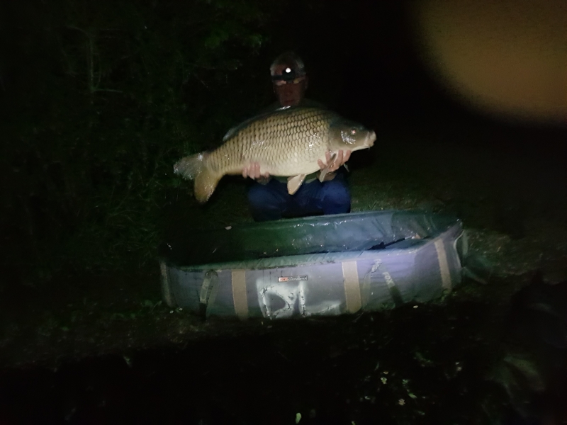 Tony Bridgart 31lb