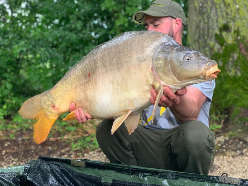 Colin Steed 35lb