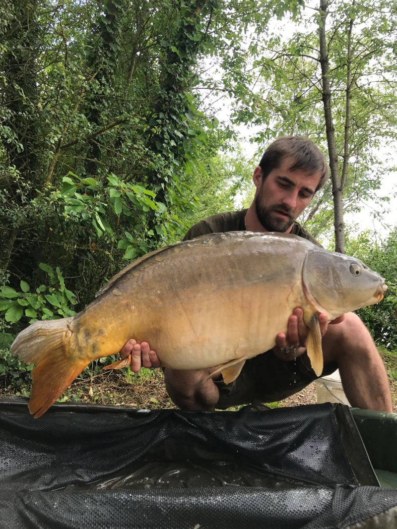 Constantin Dariciuc 46lb