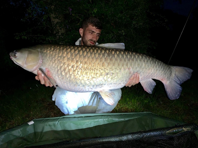 Darren Merchant 48lb