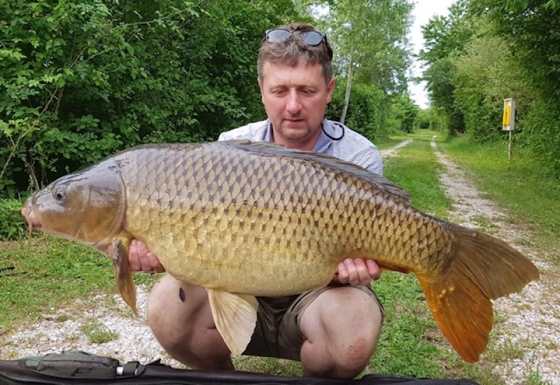 Lewis Robson 36lb