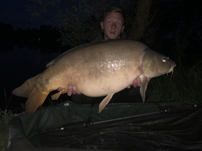 Jules Salt 41lb