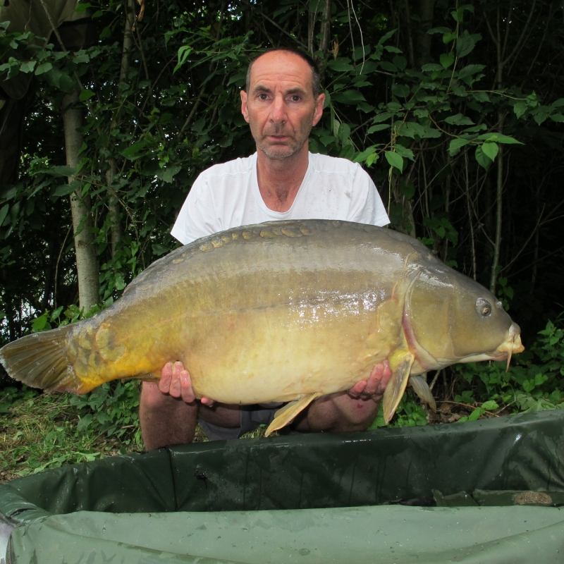 Kevin 41lb