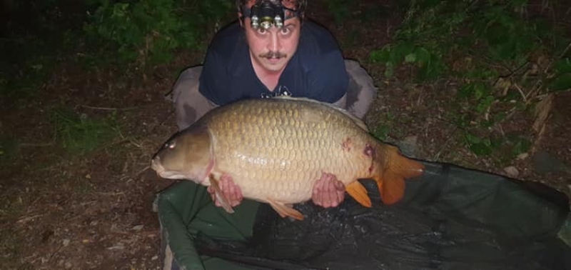 Matt 59lb common