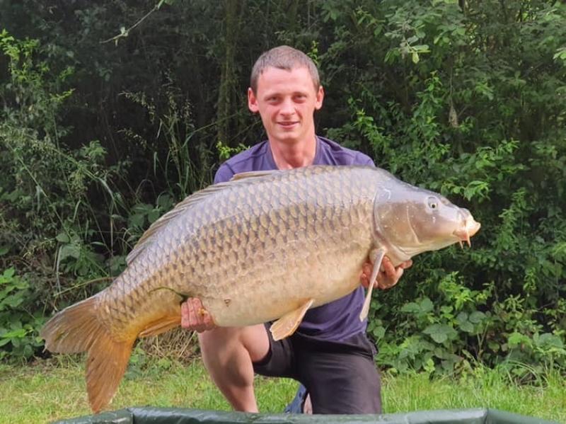 Tim 54lb