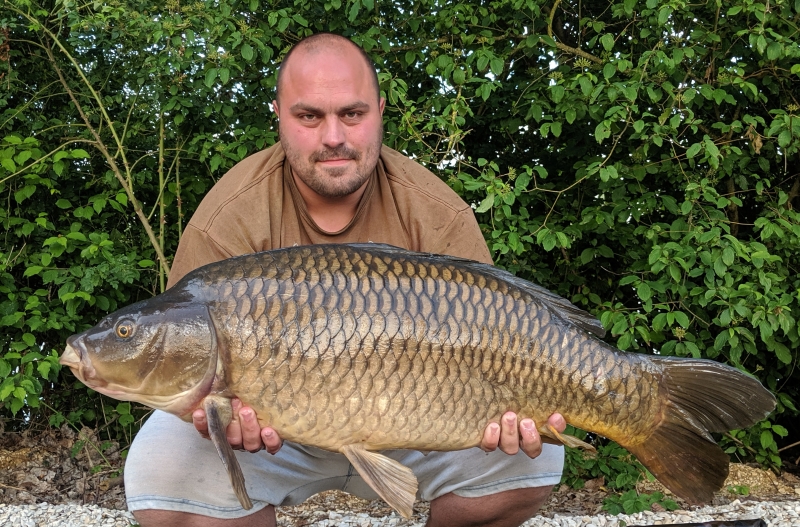 Steve 32lb