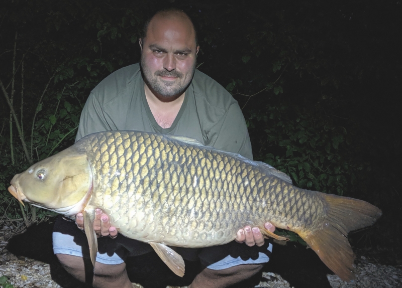 Steve 37lb