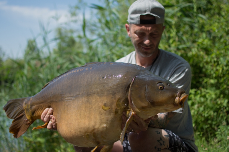 Neo Simpson 48lb 8oz