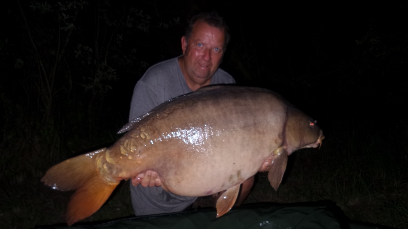 Stu 52lb