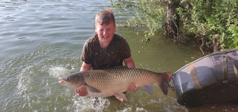 Harry 47lb