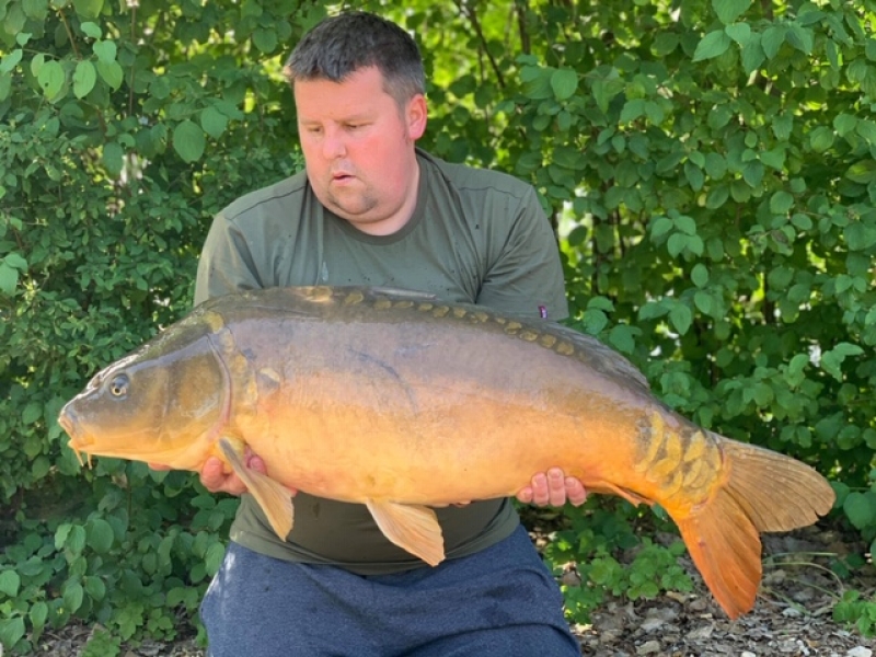 Harry Todeur 32lb