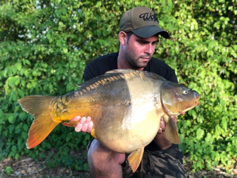 Steve Phipps 29lb