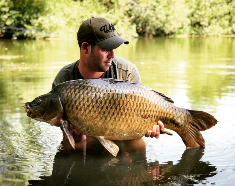 Steve Phipps 37lb