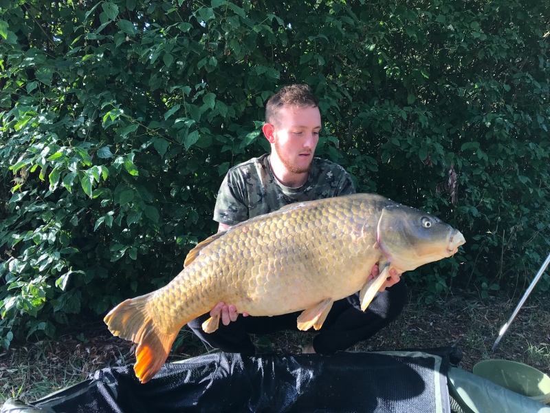 Harrison Oldfield 44lb