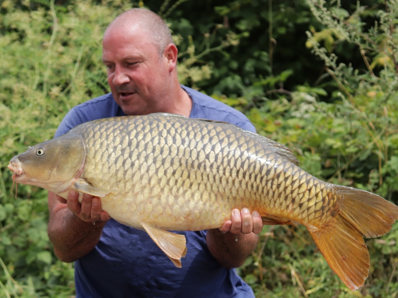 David Lodge 35lb