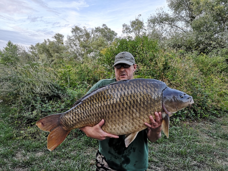 Kit Cook 50lb 12oz