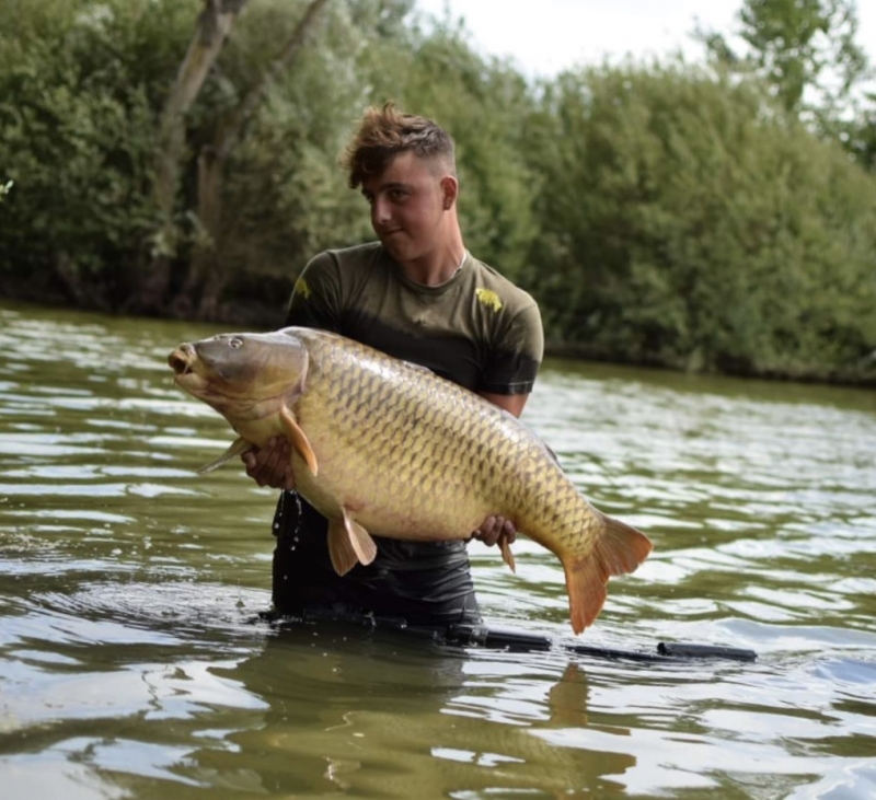 Ben Moore 52lb 10oz common