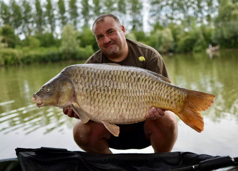 Carlo Borromeo 44lb 8oz common