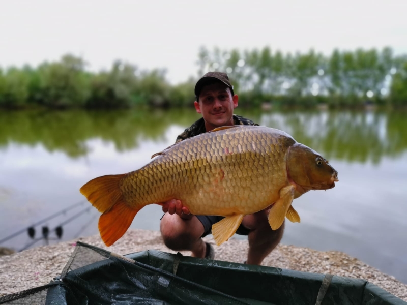 Rhys Plummber-Coles 27lb common