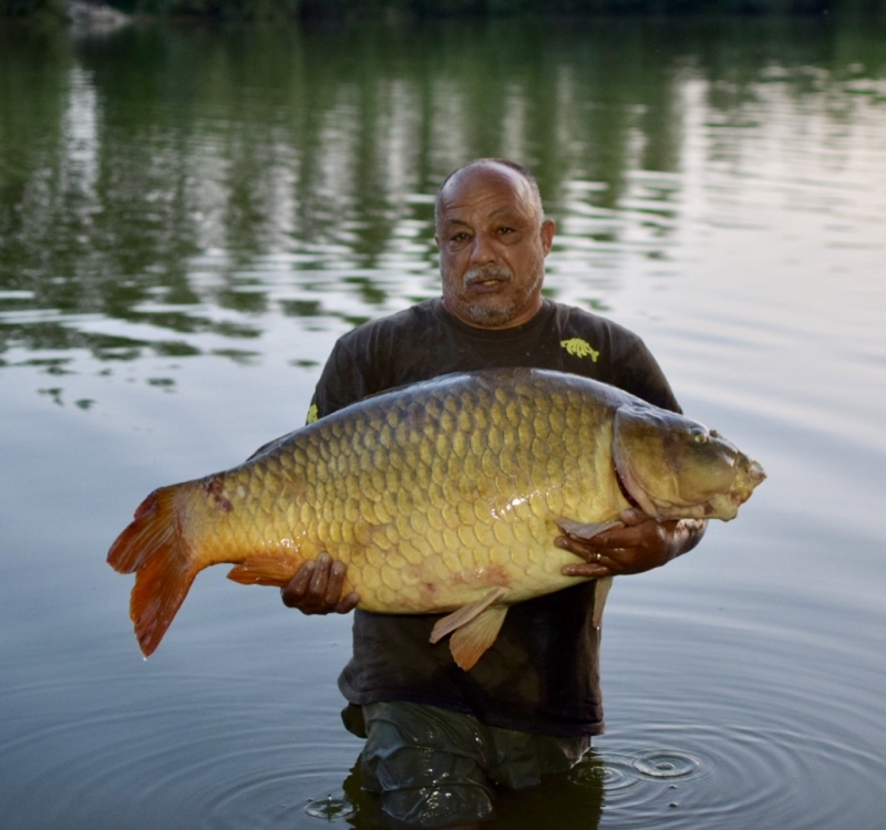 Shane Barnum 55lb common