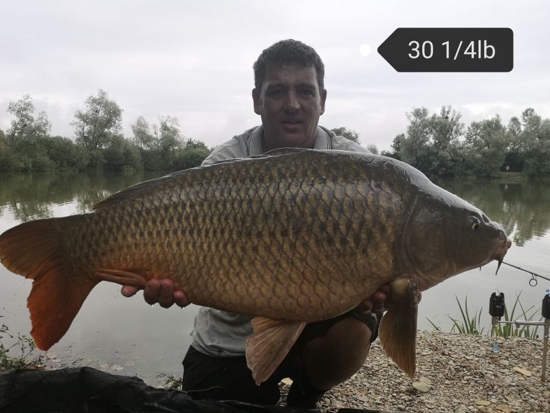 Anthony Dews 30lb 4oz common